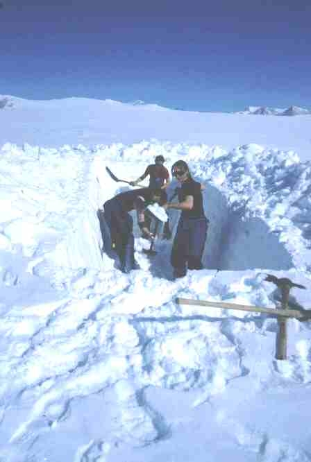 wilson piedmont glacier